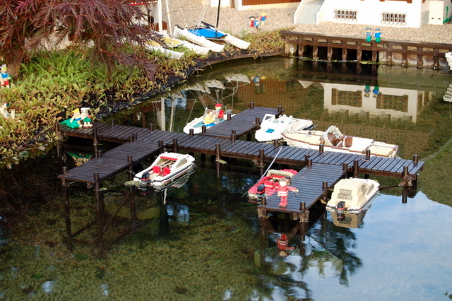 dsc_3877.jpg