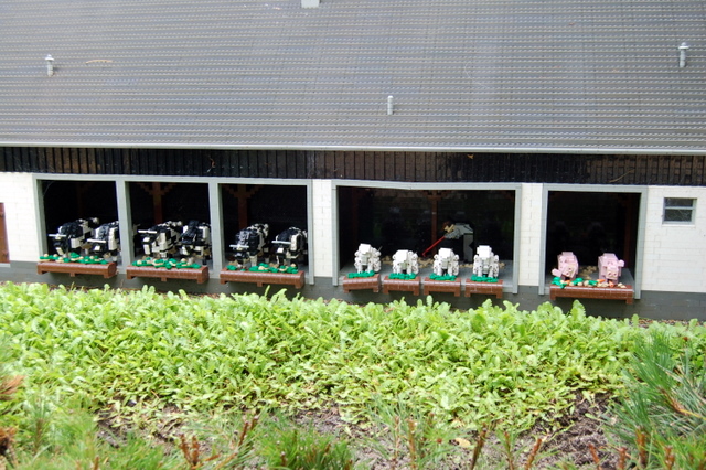 dsc_4065.jpg