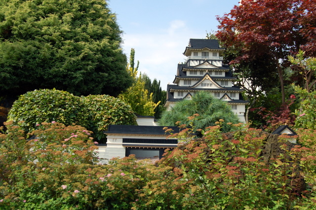 dsc_4248.jpg