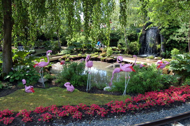 dsc_4276.jpg
