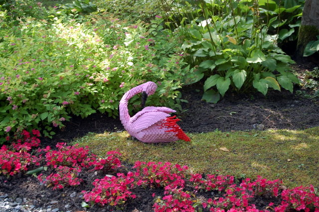 dsc_4278.jpg
