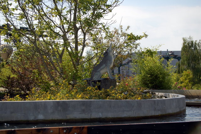 dsc_4292.jpg