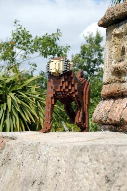 dsc_4314.jpg