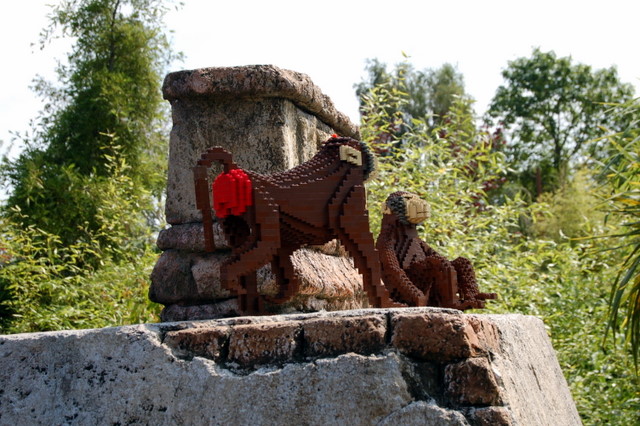 dsc_4315.jpg