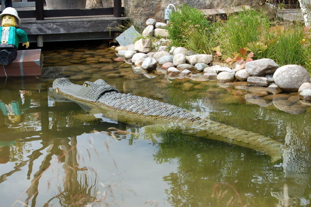 dsc_4335.jpg