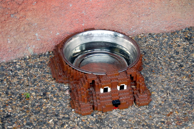 dsc_4344.jpg