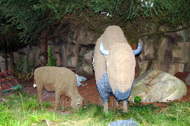 dsc_4497.jpg