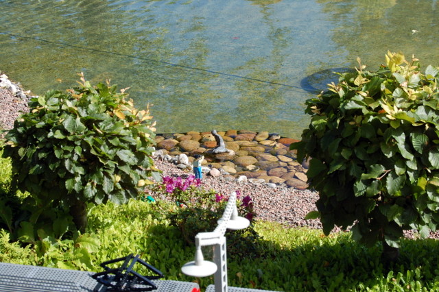 dsc_4600.jpg