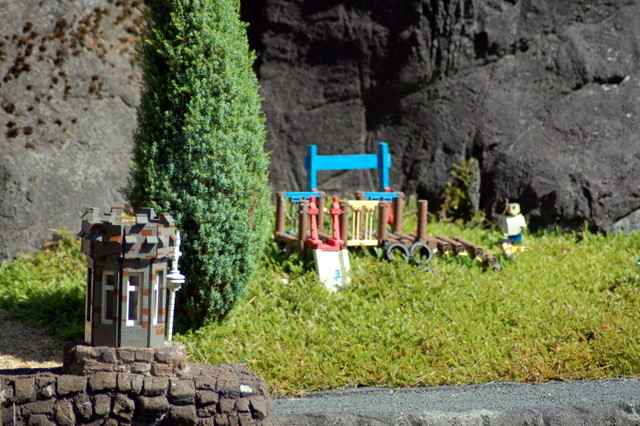 dsc_4704.jpg