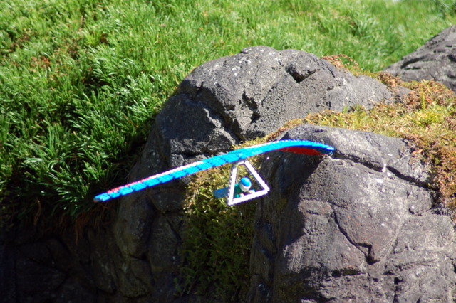 dsc_4707.jpg