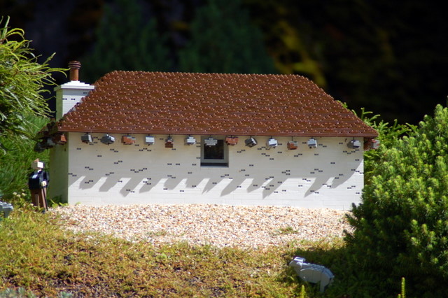 dsc_4708.jpg
