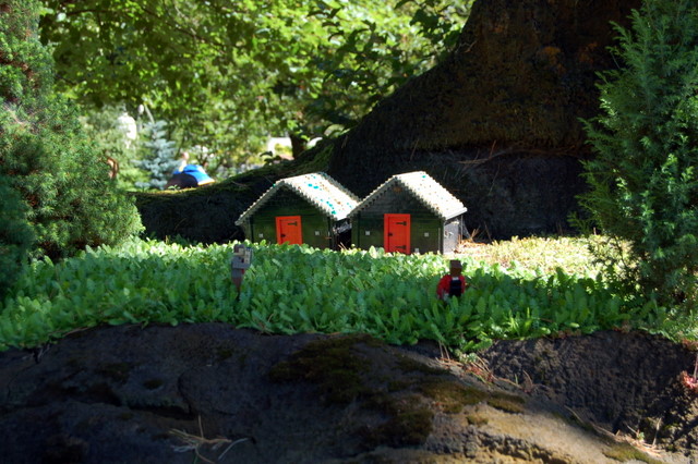 dsc_4778.jpg