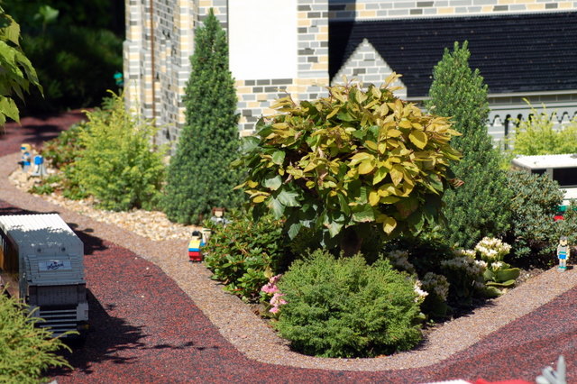 dsc_4835.jpg