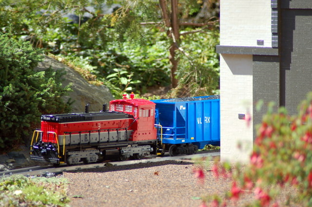 dsc_4887.jpg