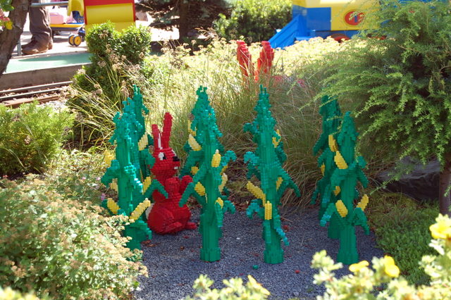 dsc_5061.jpg