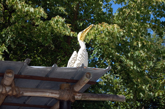 dsc_5088.jpg