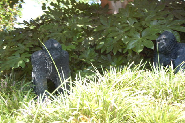 llca0043.jpg