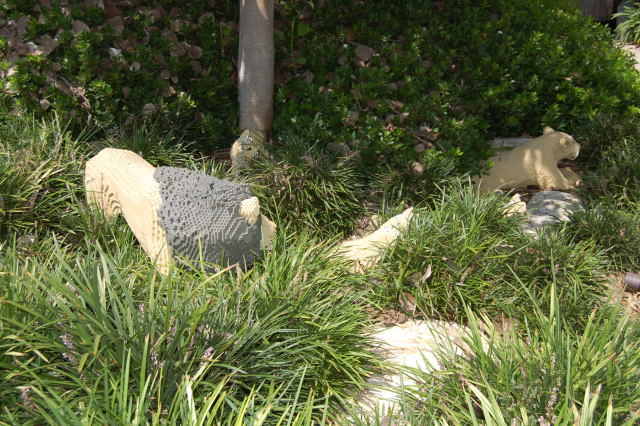 llca0049.jpg