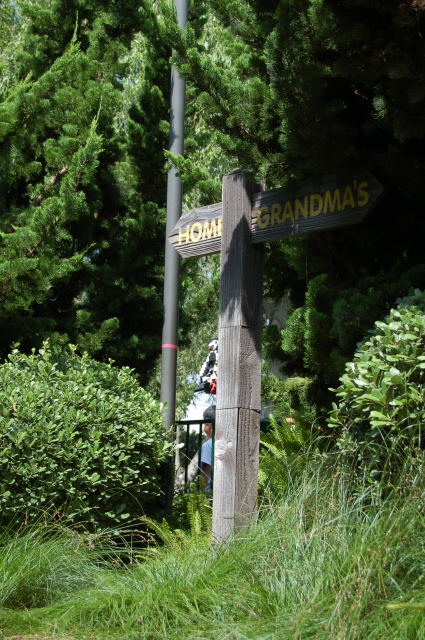 llca0058.jpg