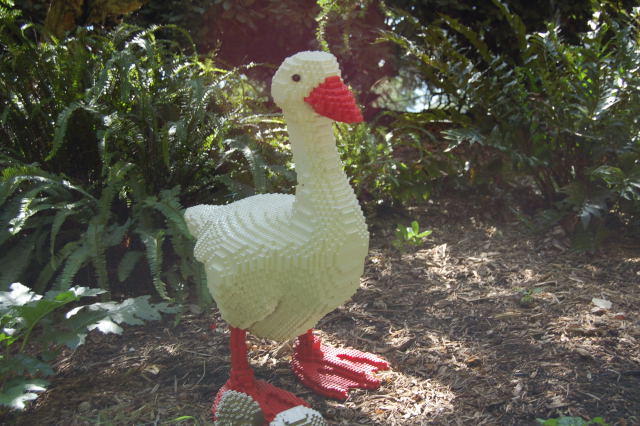 llca0080.jpg