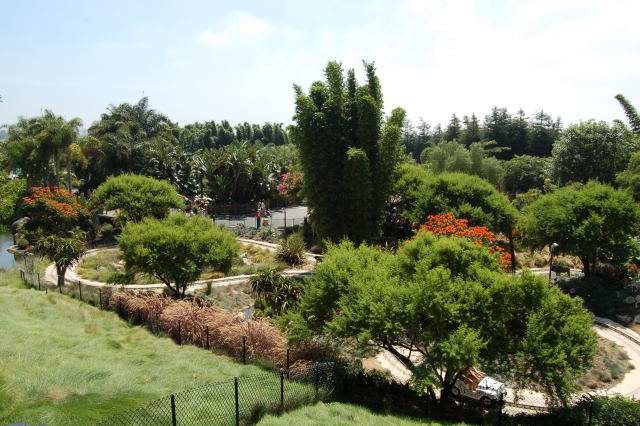 llca0125.jpg