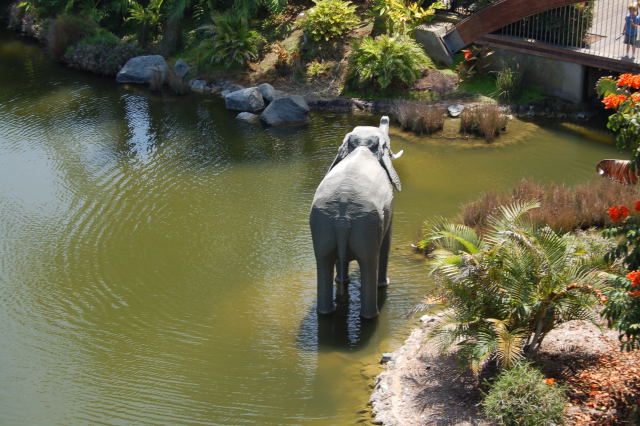 llca0128.jpg