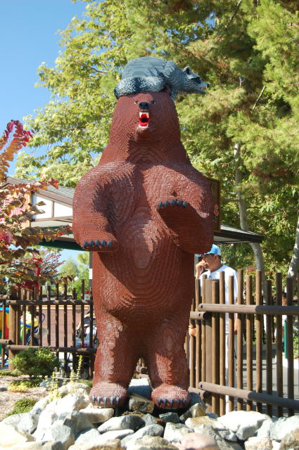 llca0293.jpg