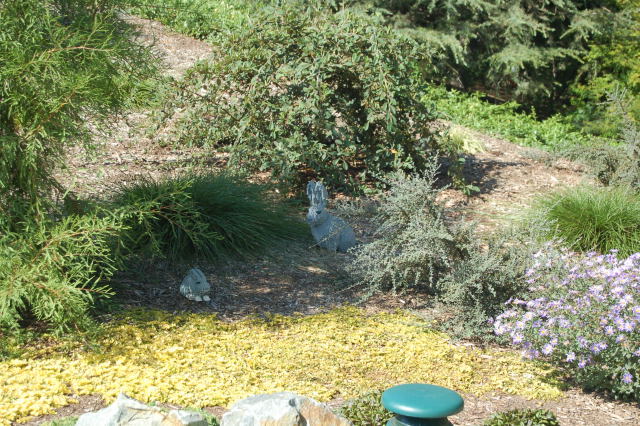 llca0304.jpg