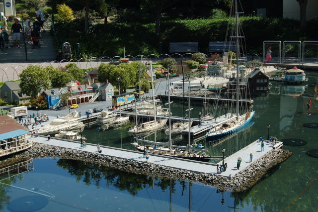 llca0556.jpg