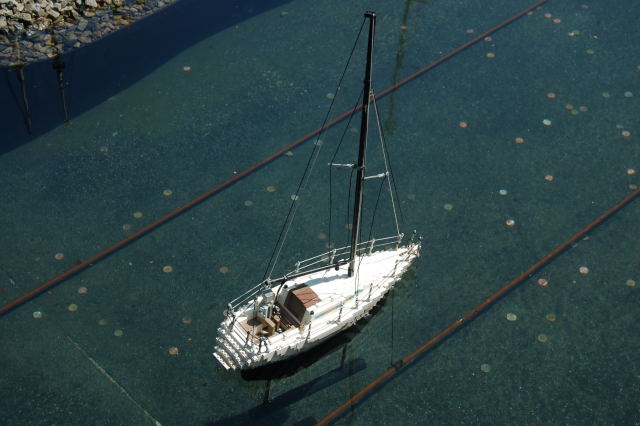 llca0557.jpg