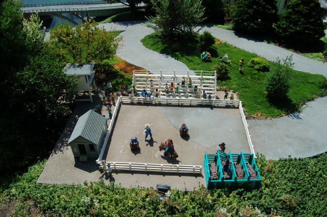 llca0608.jpg