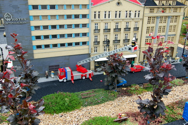 dsc_2216.jpg