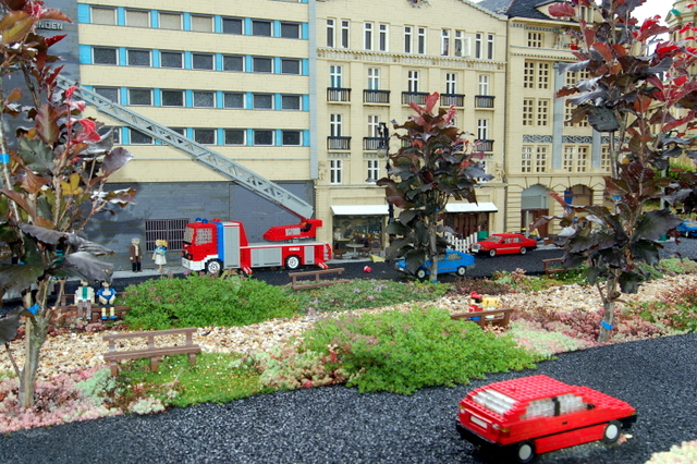 dsc_2218.jpg