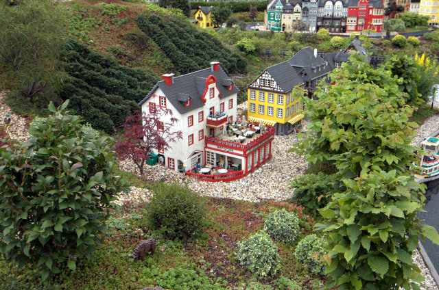 dsc_2347.jpg
