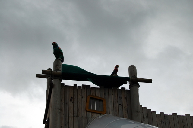 dsc_2434.jpg