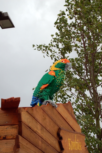 dsc_2478.jpg