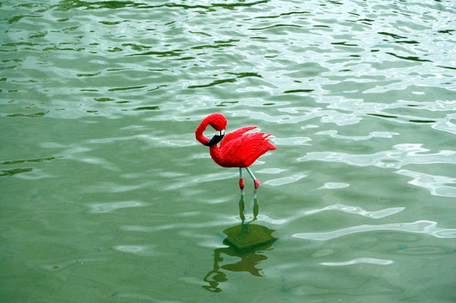 dsc_2484.jpg