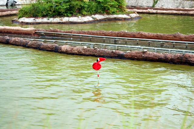dsc_2486.jpg