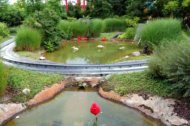 dsc_2491.jpg