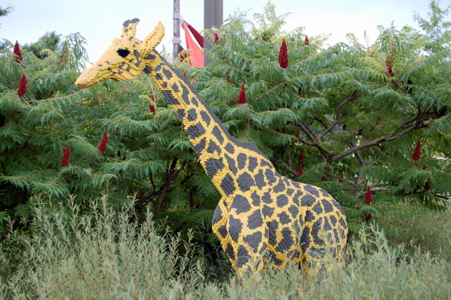 dsc_2499.jpg