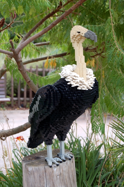 dsc_2501.jpg
