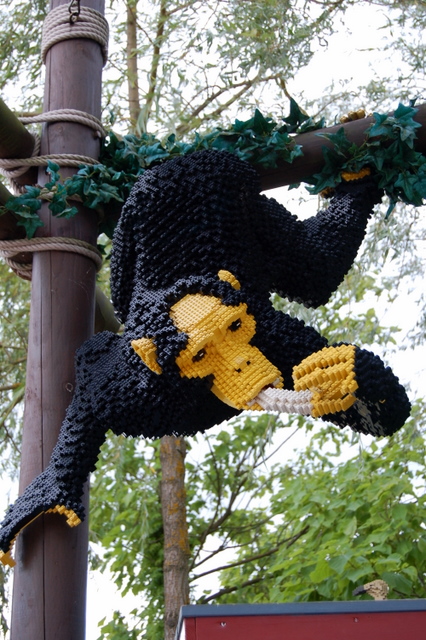 dsc_2502.jpg