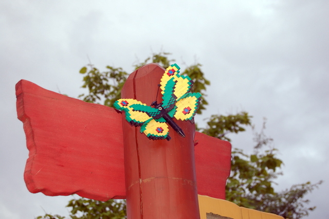 dsc_2504.jpg