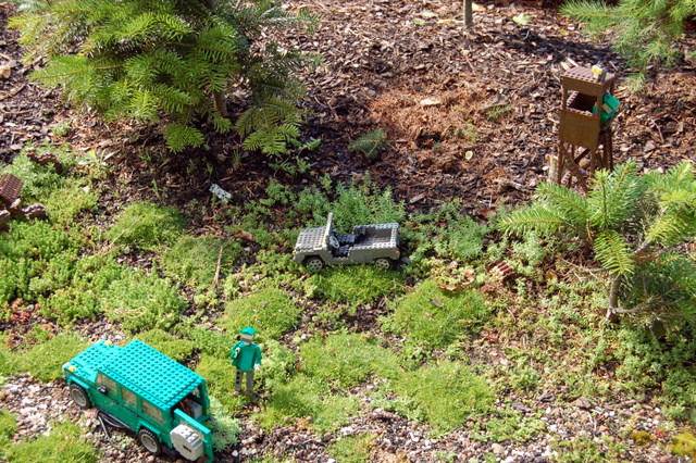 dsc_2583.jpg