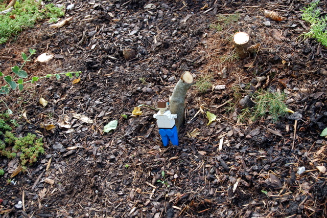 dsc_2584.jpg