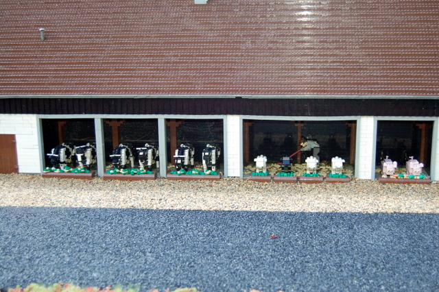 dsc_2603.jpg