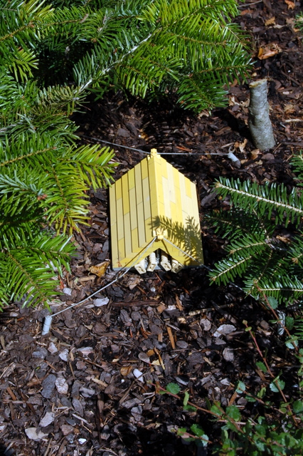 dsc_2623.jpg