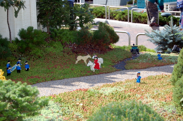 dsc_2662.jpg