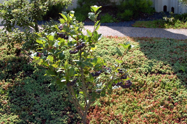 dsc_2664.jpg