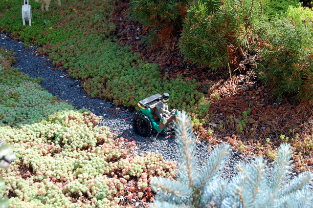 dsc_2673.jpg